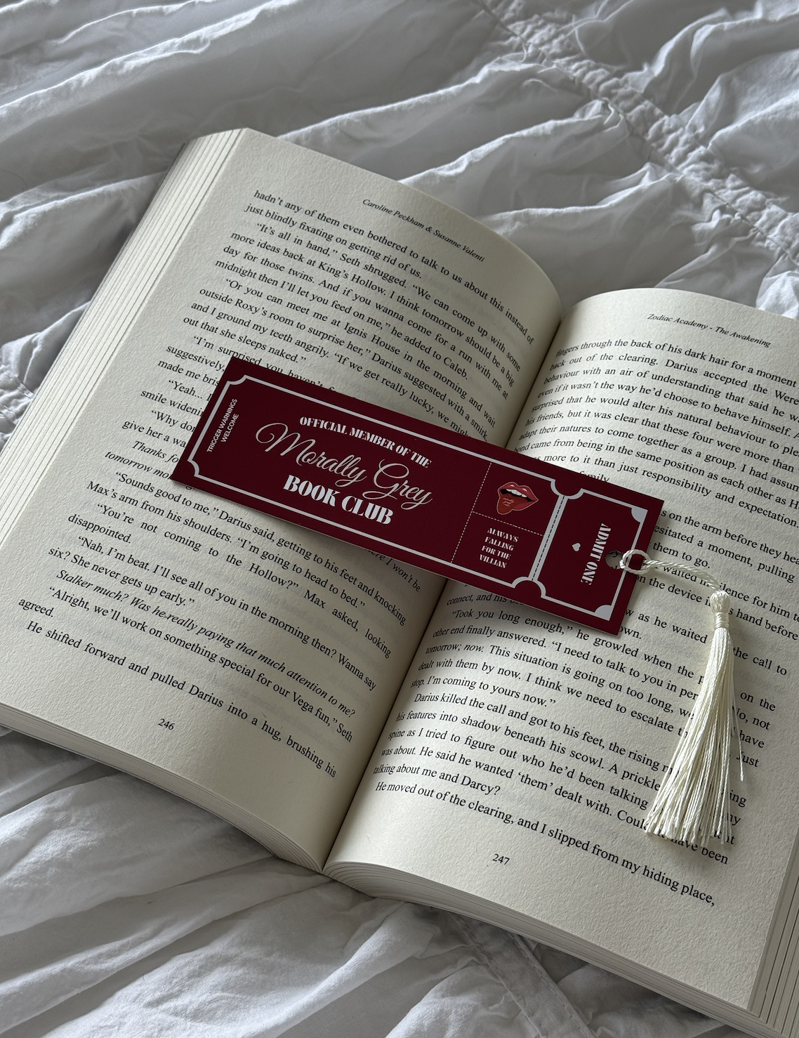 Morally Grey Book Club